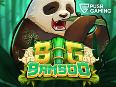 Casino bingo slots25